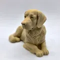 Tượng Golden Retriever Nằm (Laying Golden Retriever Figurine) - Thumbnail 2