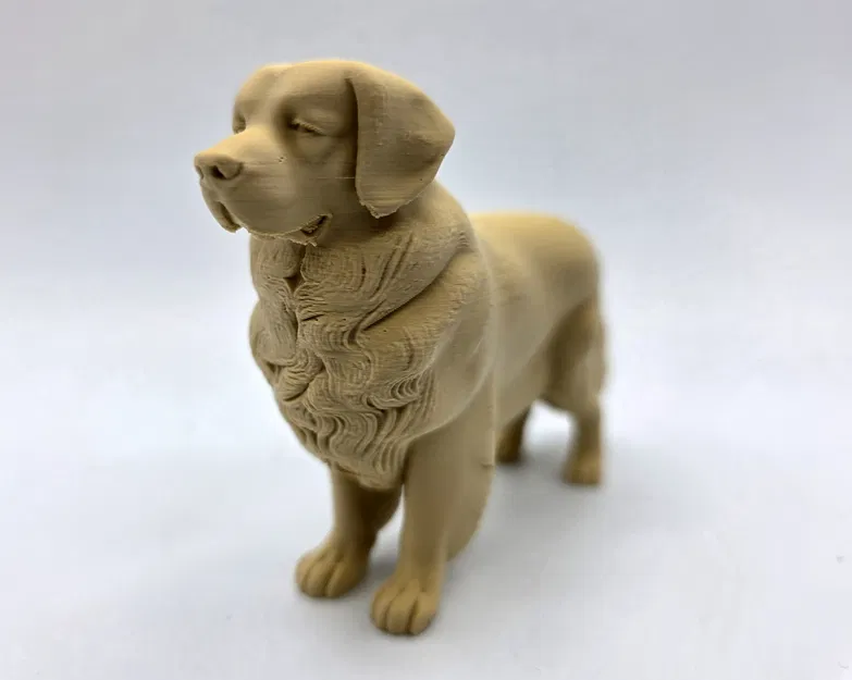 Chó Golden Retriever đứng (Standing Golden Retriever) - Image 1