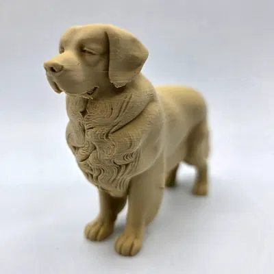 Chó Golden Retriever đứng (Standing Golden Retriever)