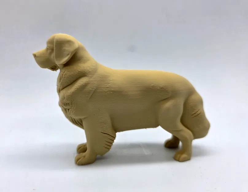 Chó Golden Retriever đứng (Standing Golden Retriever) - Image 2