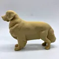 Chó Golden Retriever đứng (Standing Golden Retriever) - Thumbnail 2