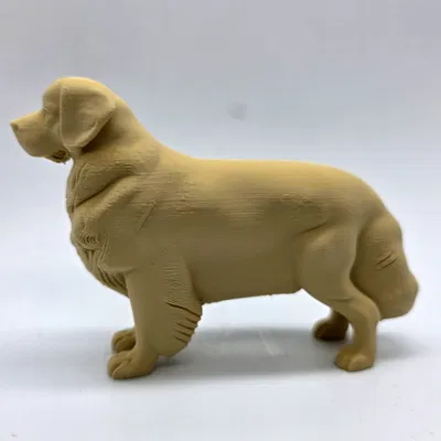 Chó Golden Retriever đứng (Standing Golden Retriever)