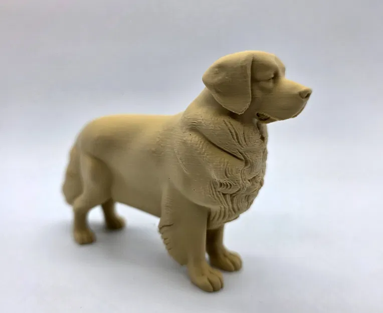 Chó Golden Retriever đứng (Standing Golden Retriever) - Image 3