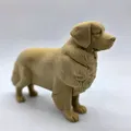 Chó Golden Retriever đứng (Standing Golden Retriever) - Thumbnail 3