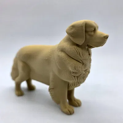 Chó Golden Retriever đứng (Standing Golden Retriever)