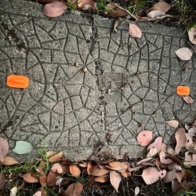 Nút bịt Comms pit plug