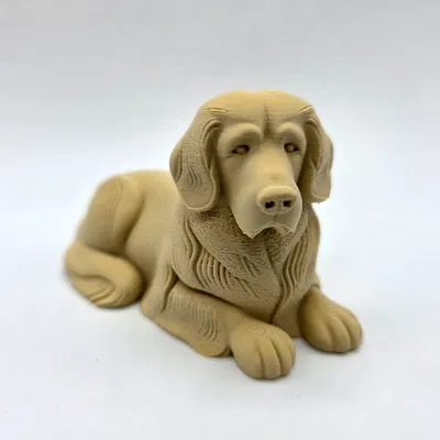 Chó Golden Retriever Nằm Chạm Khắc