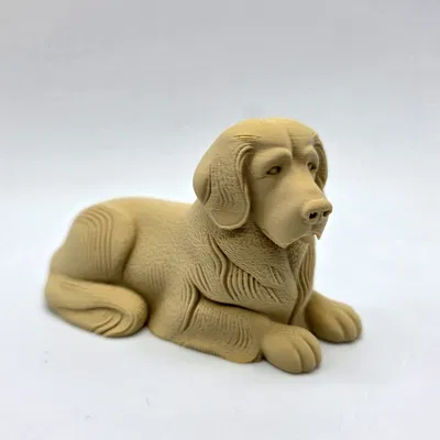 Chó Golden Retriever Nằm Chạm Khắc