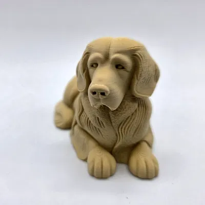 Chó Golden Retriever Nằm Chạm Khắc