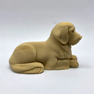Chó Golden Retriever Nằm Chạm Khắc