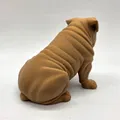 Chó Bulldog Anh ngồi (Seated English Bulldog) - Thumbnail 4