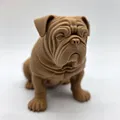 Chó Bulldog Anh ngồi (Seated English Bulldog) - Thumbnail 5