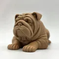 Chó English Bulldog Nằm Nghỉ (Laying English Bulldog) - Thumbnail 1