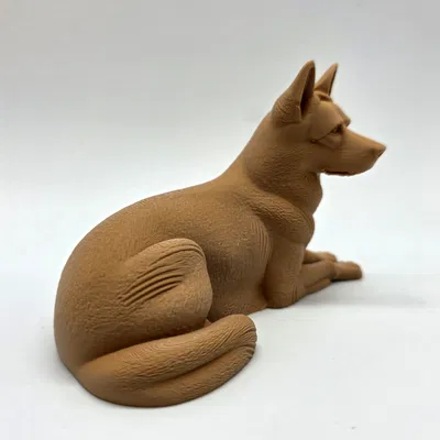 Chó Becgie Đức Nằm (German Shepherd Laying)