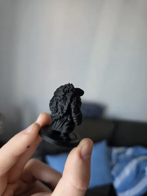 Tortle Monk Druid – Oolo “Khu Vườn Biết Đi” - Image 4