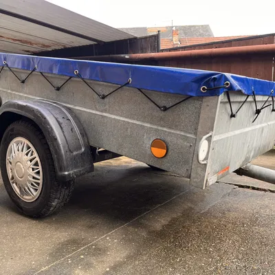 Nút Bungee Dây Căng Xe Kéo (Ốc M4)