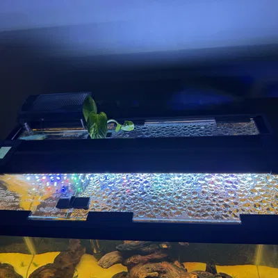 Bản lề kính cho kính .093"