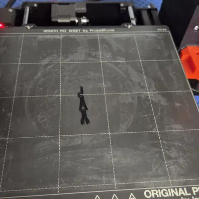 Chìa Khóa Công Tắc Điện Leviton 55500-PRT In 3D