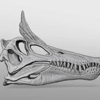 Mô Hình Đầu Khủng Long Spinosaurid Mào Lưỡi Kiếm 1:8