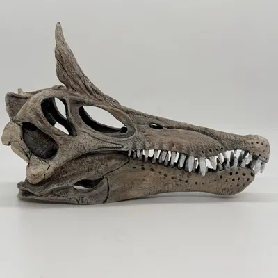 Mô Hình Đầu Khủng Long Spinosaurid Mào Lưỡi Kiếm 1:8
