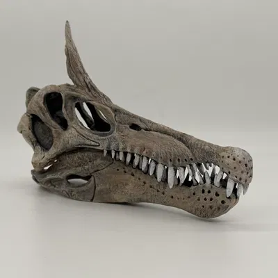 Mô Hình Đầu Khủng Long Spinosaurid Mào Lưỡi Kiếm 1:8