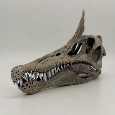 Mô Hình Đầu Khủng Long Spinosaurid Mào Lưỡi Kiếm 1:8