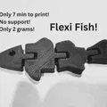 Cá Uốn Dẻo Flexi Fish - Đồ Chơi In 3D Nhanh Gọn - Thumbnail 1