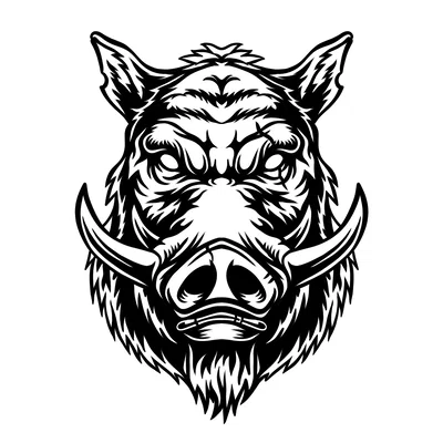 Đầu Heo Rừng ARTRT - Trang Trí Tường 3D Độc Đáo