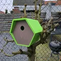 Nhà Chim Lục Giác (Birdhouse hexagon) - Thumbnail 1