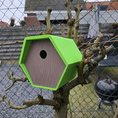 Nhà Chim Lục Giác (Birdhouse hexagon)