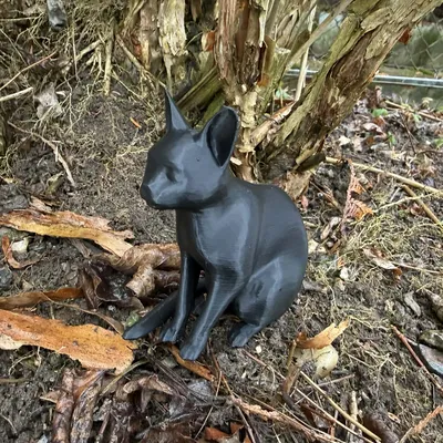 Mô hình 3D Mèo ngồi realistic