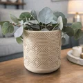 Chậu Cây Hình Học Hiện Đại - Trang Trí Nhà Cửa Độc Đáo - Thumbnail 2