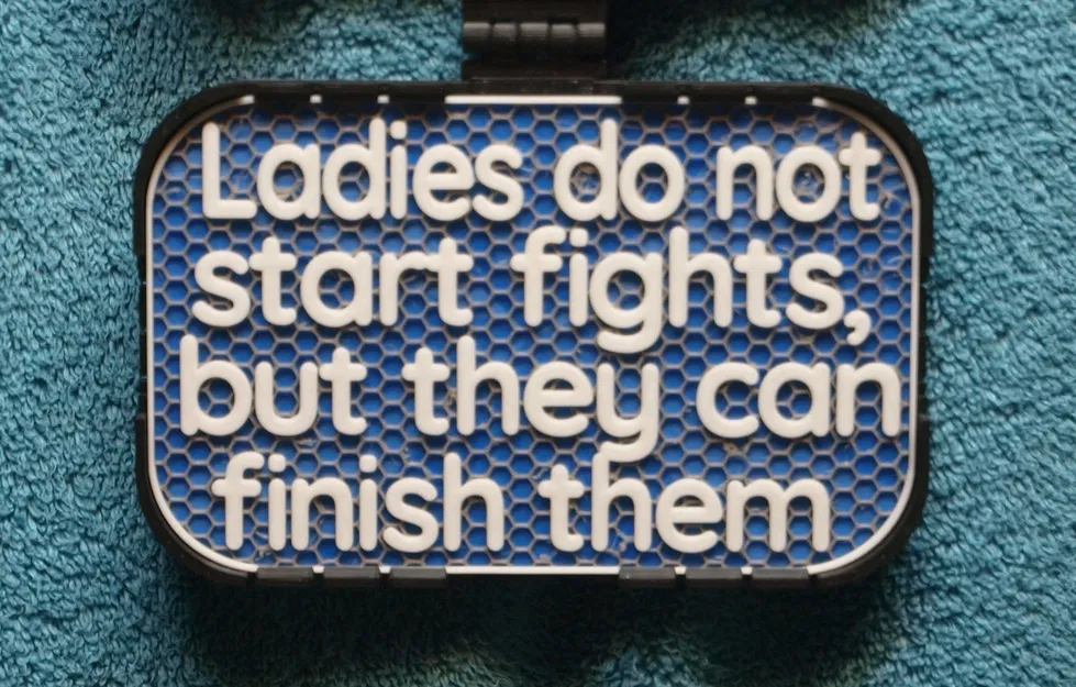 Bảng hiệu “Ladies do not start fights” (100x160mm) - Image 1