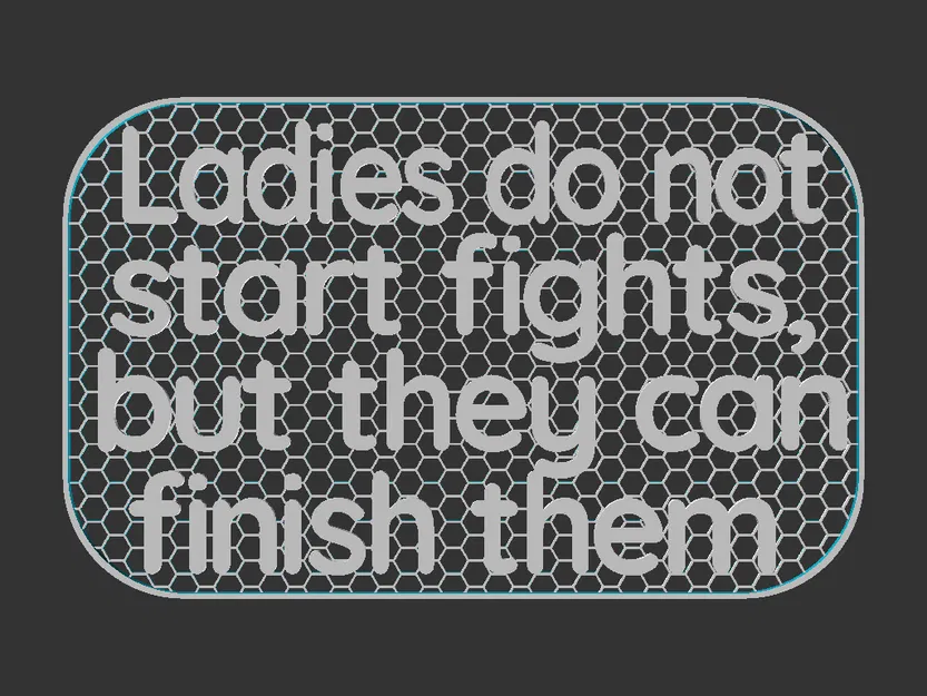 Bảng hiệu “Ladies do not start fights” (100x160mm) - Image 2