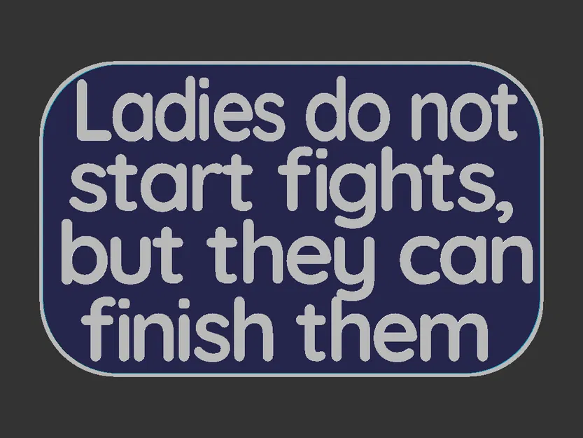 Bảng hiệu “Ladies do not start fights” (100x160mm) - Image 3