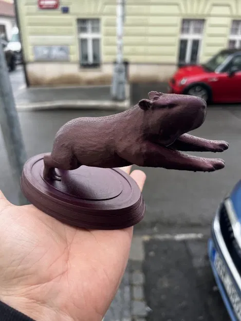 Thần khí Capybara cho xe của bạn - Image 1