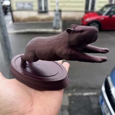 Thần khí Capybara cho xe của bạn