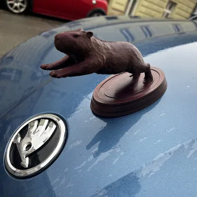 Thần khí Capybara cho xe của bạn