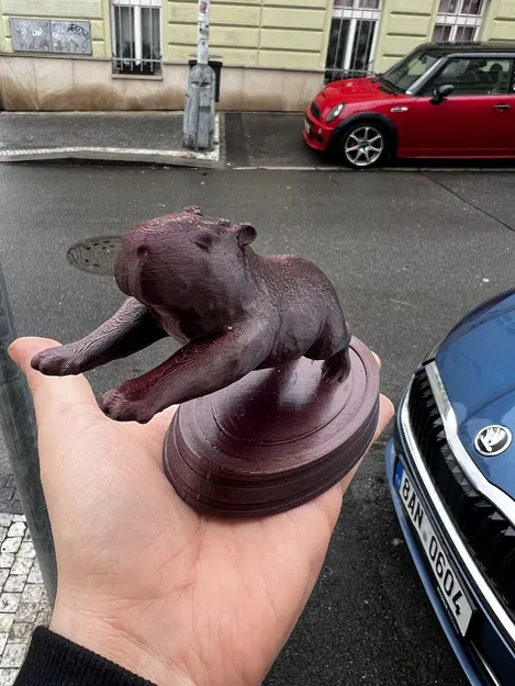 Thần khí Capybara cho xe của bạn - Image 4