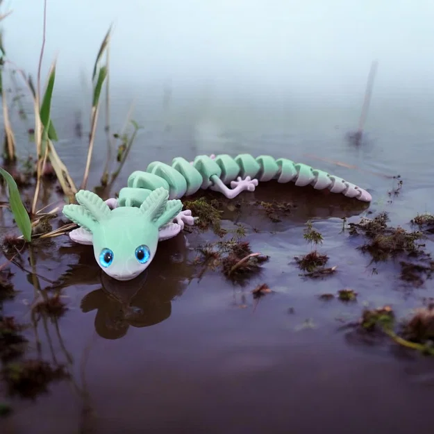 Axolotl mắt to – tương thích mắt kính 6mm + 8mm - Image 1