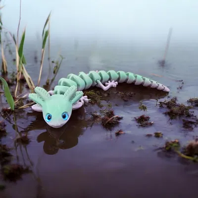 Axolotl mắt to – tương thích mắt kính 6mm + 8mm