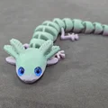 Axolotl mắt to – tương thích mắt kính 6mm + 8mm - Thumbnail 5