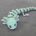 Axolotl mắt to – tương thích mắt kính 6mm + 8mm - Thumbnail 7