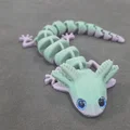 Axolotl mắt to – tương thích mắt kính 6mm + 8mm - Thumbnail 8