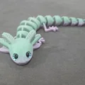 Axolotl mắt to – tương thích mắt kính 6mm + 8mm - Thumbnail 10