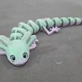 Axolotl mắt to – tương thích mắt kính 6mm + 8mm - Thumbnail 11
