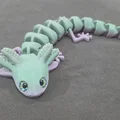 Axolotl mắt to – tương thích mắt kính 6mm + 8mm - Thumbnail 12