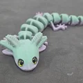 Axolotl mắt to – tương thích mắt kính 6mm + 8mm - Thumbnail 13