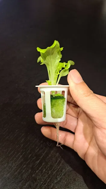 Rọ Thủy Canh Net Cup (33–38mm)｜定植籃 tối giản (3.3–3.8cm) - Image 5