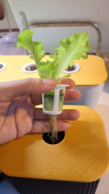 Rọ Thủy Canh Net Cup (33–38mm)｜定植籃 tối giản (3.3–3.8cm) - Image 6